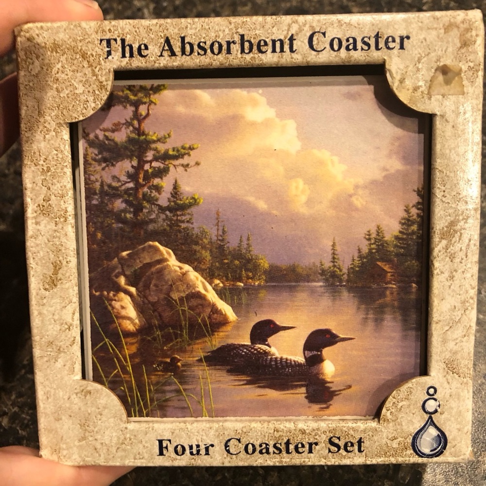 Absorbastone coasters (4)